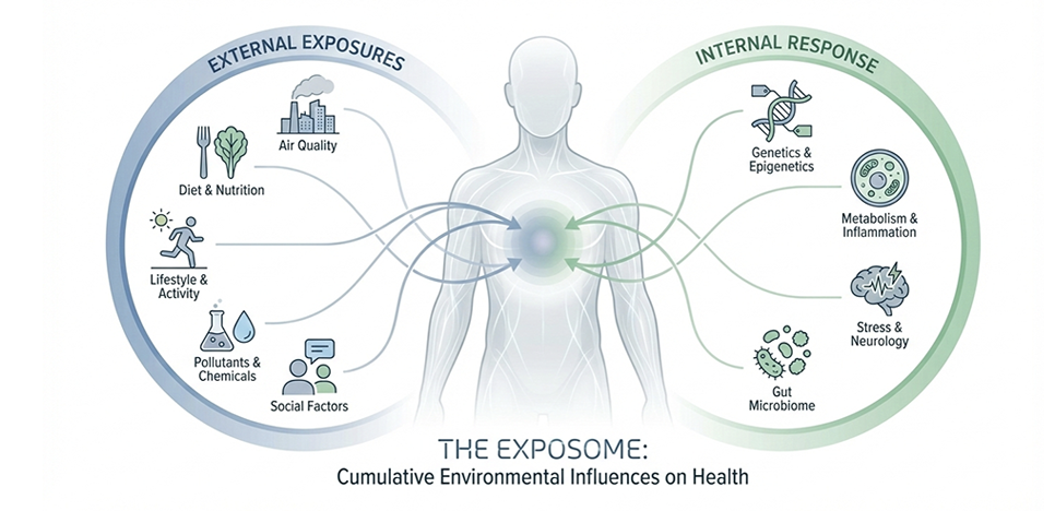 Why Disease Risk Lives in the Exposome