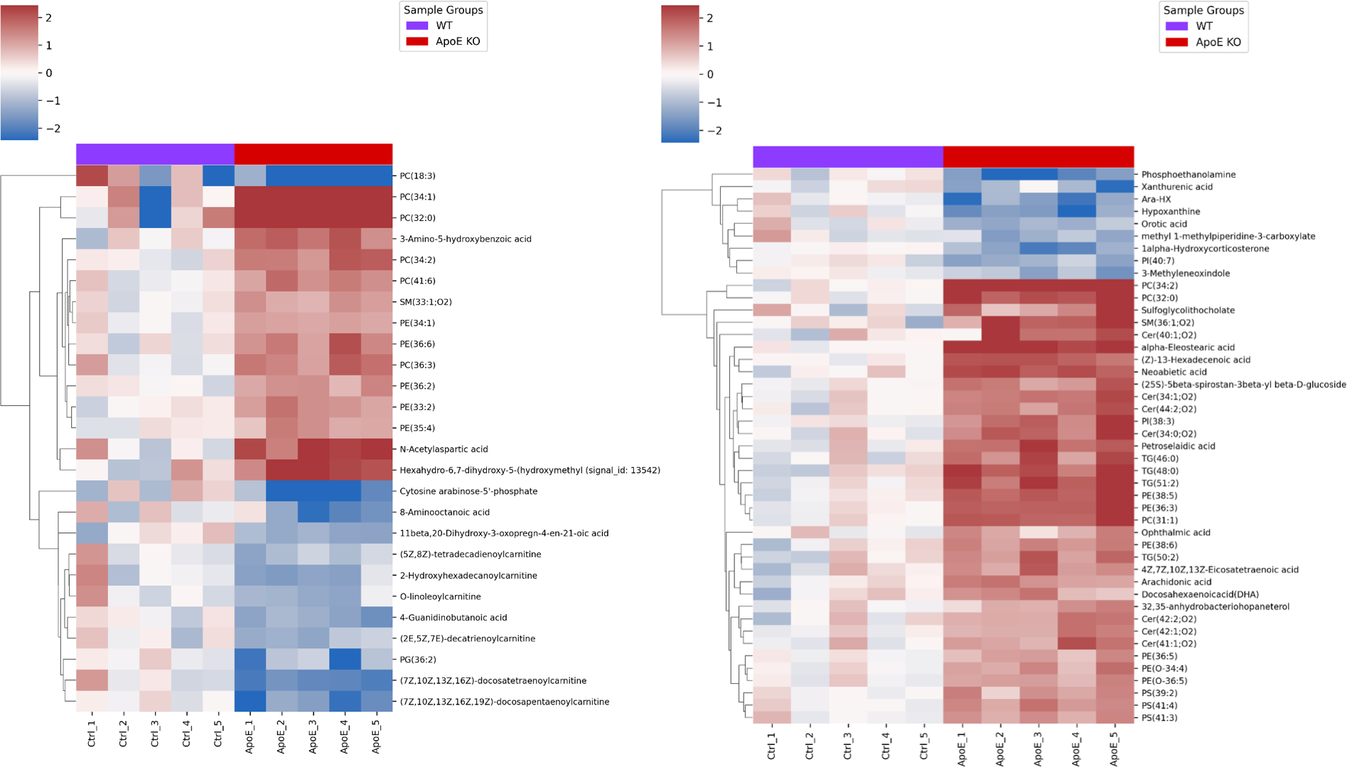 Heatmaps showing liver and serum metabolite changes associated with ApoE knockout rats.