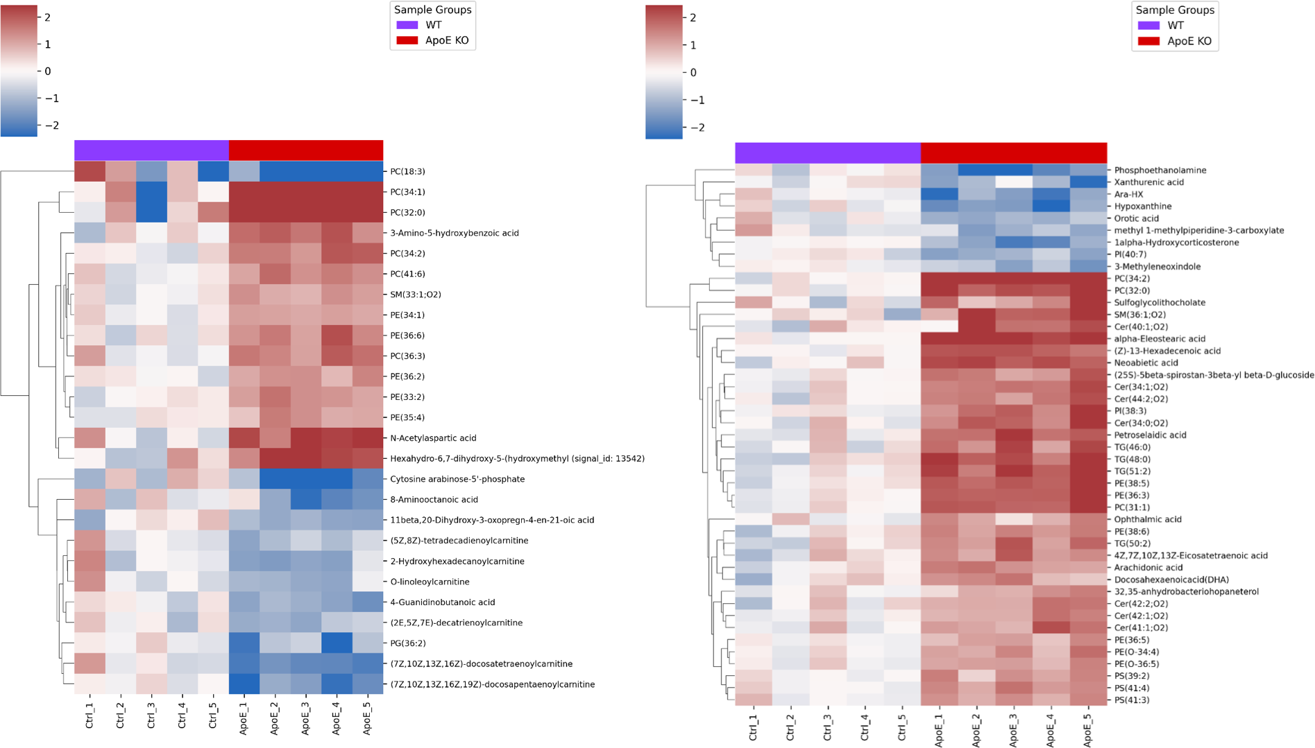 Heatmaps showing liver and serum metabolite changes associated with ApoE knockout rats.