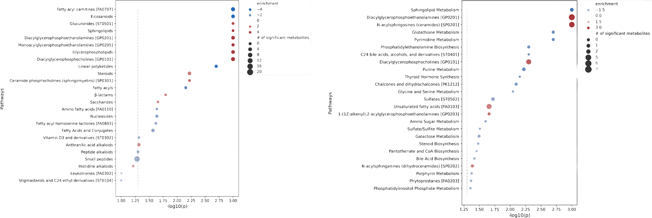 Pathway enrichment analysis of liver and serum metabolites in ApoE knockout rats