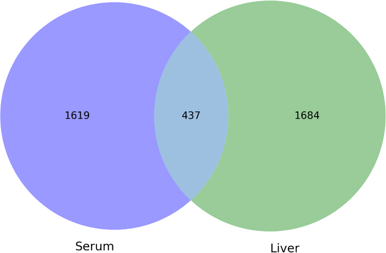 Venn diagram showing unique and overlapping metabolites identified in ApoE knockout rat serum and liver