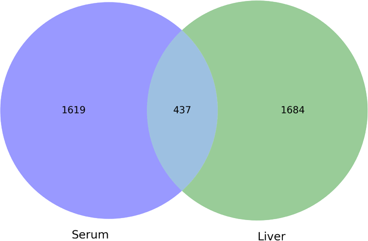 Venn diagram showing unique and overlapping metabolites identified in ApoE knockout rat serum and liver