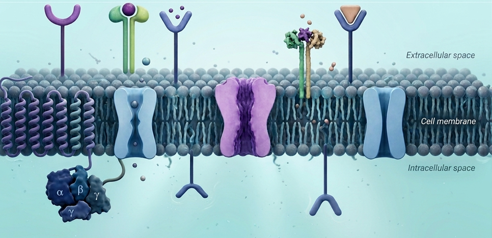 Surface Proteomics for Smarter Drug Target Discovery