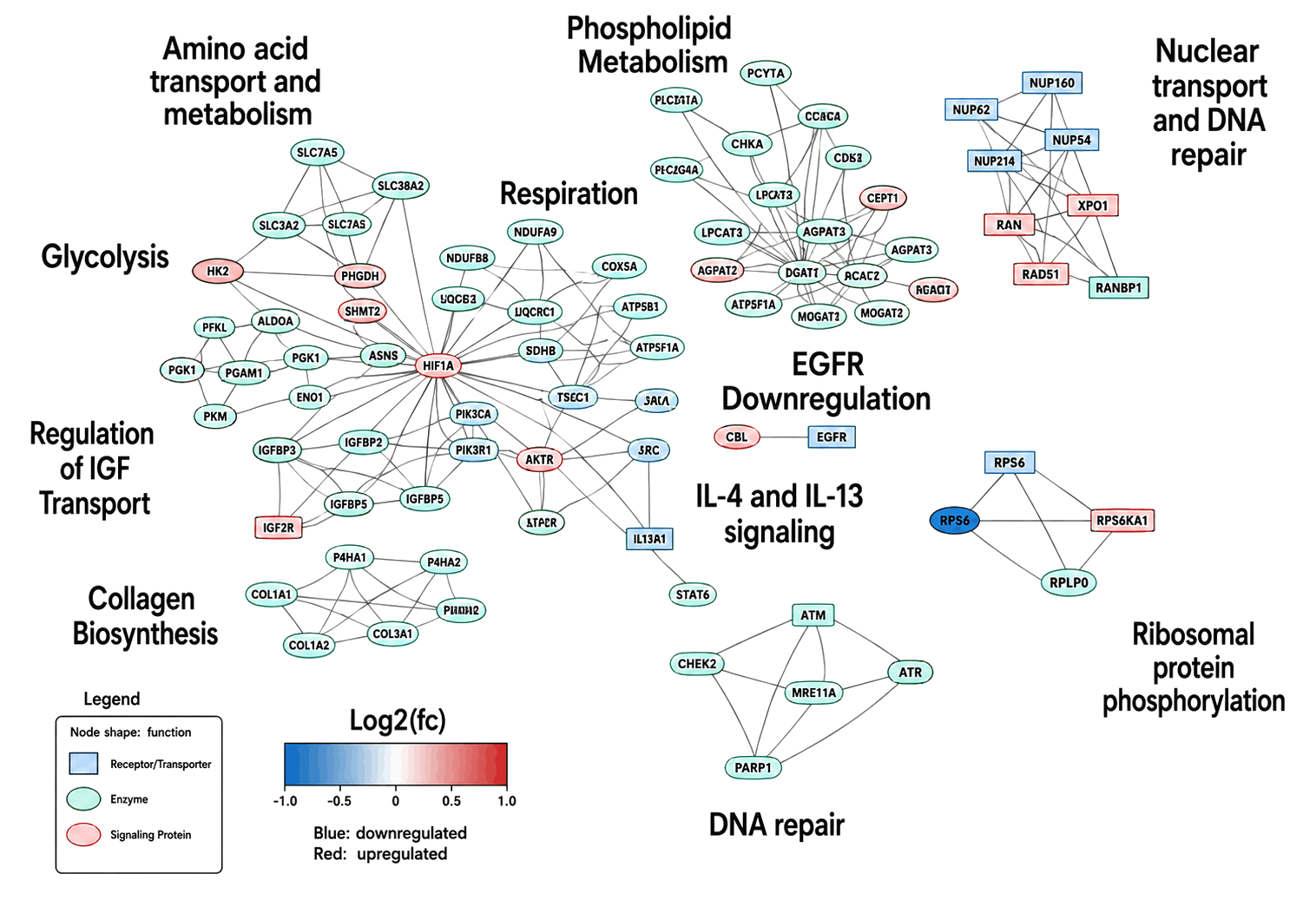 Integrated multi-omics network linking molecules and pathways to reveal system-level biological interactions