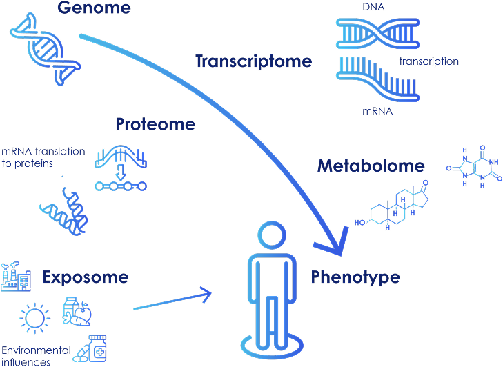 Overview of omics layers: genomics DNA, transcriptomics RNA, proteomics proteins, metabolomics metabolites and exposomics exposures