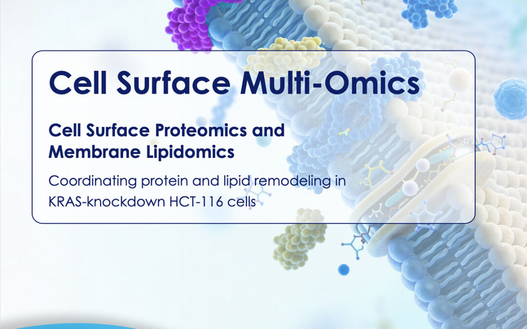 Cell Surface Omics Reveals KRAS-Driven Membrane Remodeling