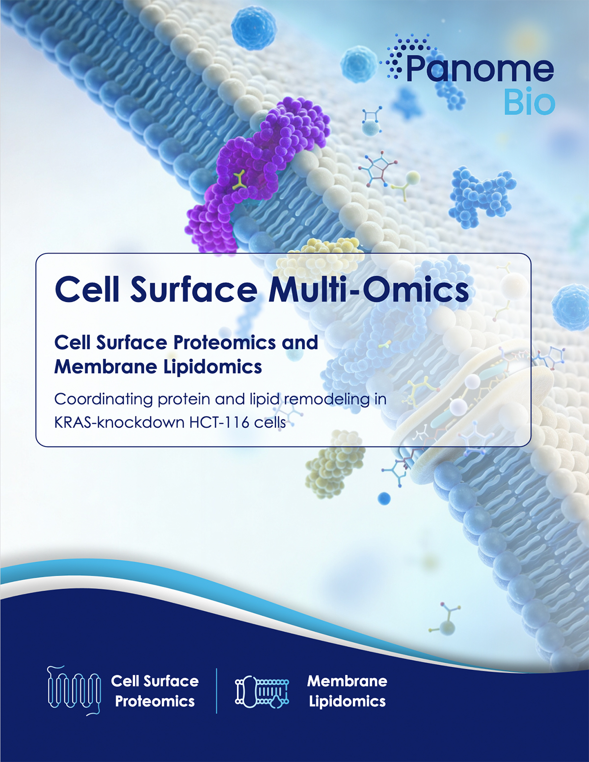 Cell Surface Omics Reveals KRAS-Driven Membrane Remodeling