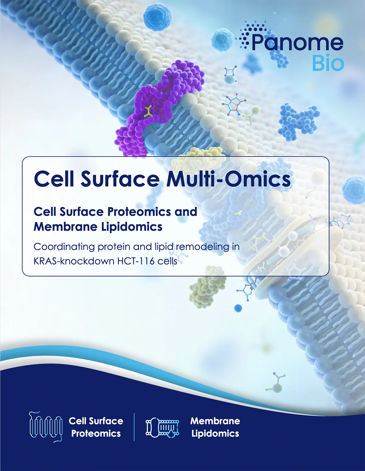 Cell Surface Omics Reveals KRAS-Driven Membrane Remodeling